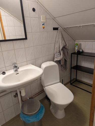 a bathroom with a white toilet and a sink at Björk City - Charmig lägenhet nära centrum in Pietarsaari