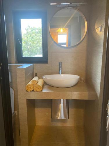 a bathroom with a sink and a mirror at Kopel Haus - Studio - Self acces cod location in Baloteşti