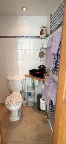 a bathroom with a toilet and towels on a shelf at Coach house in Enderby