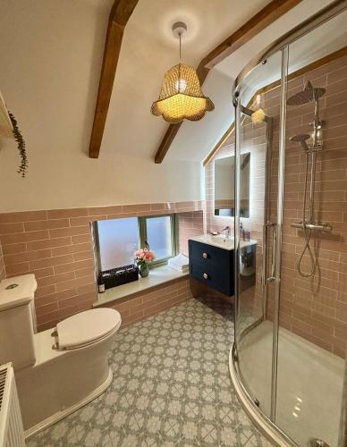 a bathroom with a shower and a toilet and a sink at Foyle View Glebe Barn in Tullyverry