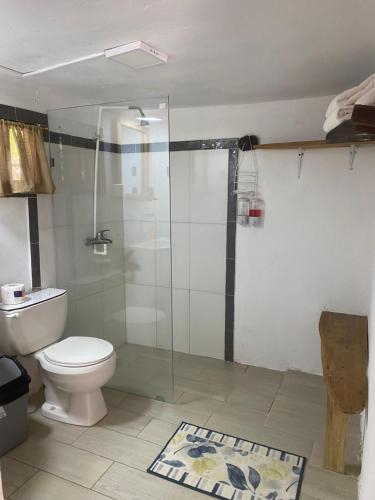 a bathroom with a toilet and a glass shower at Canada House Queen bed in 2nd floor dbl sofa bed in 1st floor BBQ Private pool, river in Jarabacoa