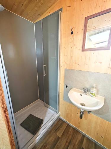 a bathroom with a shower and a sink at Tiny Guesthouse Euerbach in Euerbach