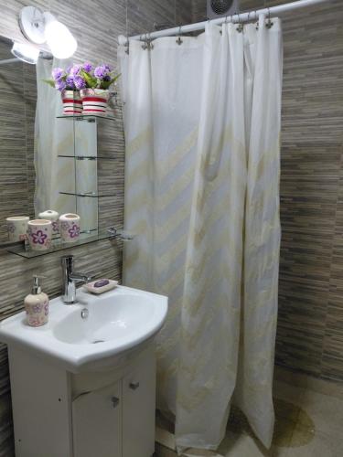a bathroom with a sink and a shower curtain at La tranquera ll in Trapiche