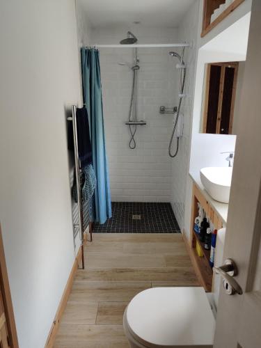 a bathroom with a shower and a toilet and a sink at Carrowkeel Cottage in Athlone