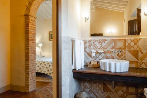a bathroom with a sink and a mirror at Agriturismo La Frattina in Buonconvento