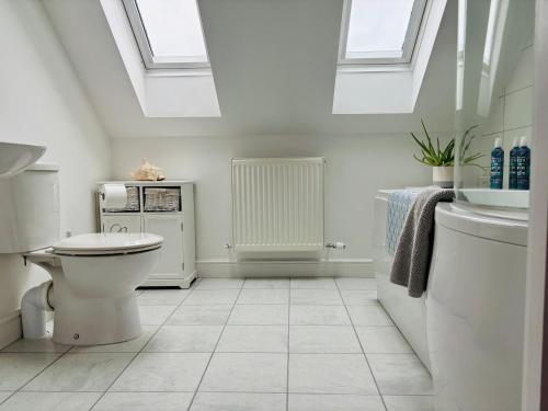a bathroom with a toilet and a sink and skylights at Magog View in Sawston