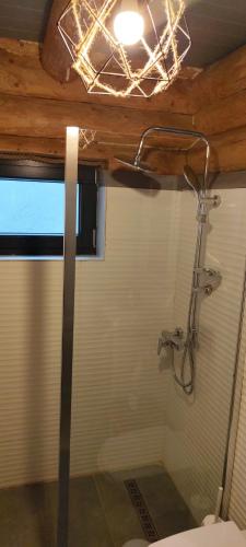 a bathroom with a shower and a toilet at Loft Bucovina in Gura Humorului