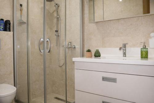 a bathroom with a shower and a sink and a toilet at Apartman Jaman - Novi Pazar in Novi Pazar