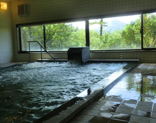 a pool of water in a room with a window at Hotel Sunny Shiga in Yamanouchi