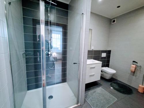 a bathroom with a shower and a toilet at Penzion a restaurace Polnička in Polnička
