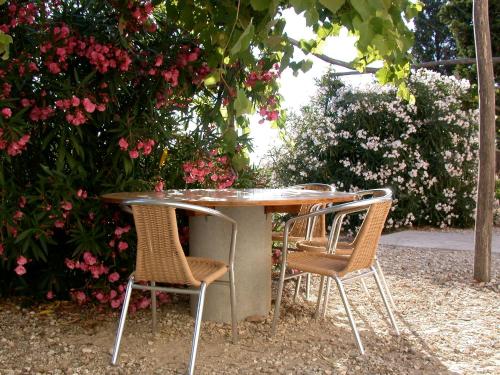 Κήπος έξω από το Podere Riparbella
