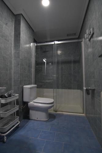 a bathroom with a toilet and a glass shower at Tres Coronas in Olite