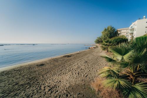 a beach with palm trees and the water at Beach Front View Apartment Sea Pool & Prime Location in Limassol
