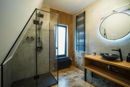a bathroom with a sink and a glass shower at Domaine A Chalet in Malu Roşu