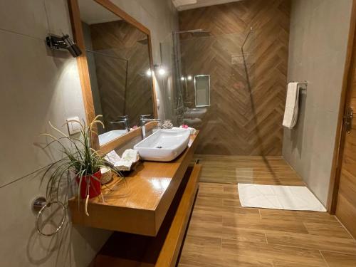 a bathroom with a sink and a shower at Villa YEMAYA - Villa d'hôtes in Ngaparou