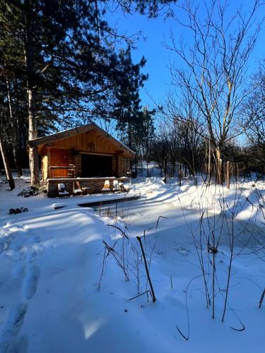 a log cabin in the snow with snow covered trees at BoHome Balaton in Balatonakali