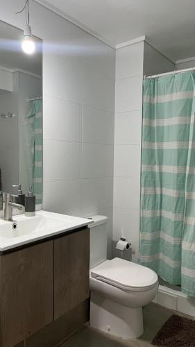 a bathroom with a toilet and a sink and a shower at Depa Céntrico con estacionamiento in Temuco