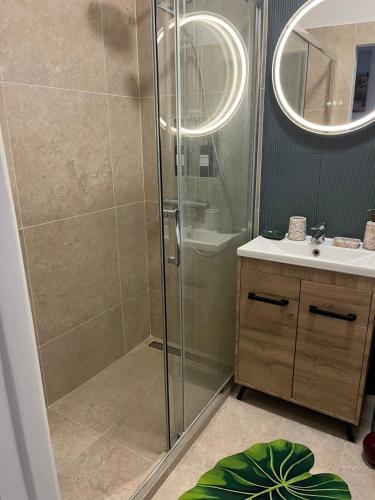 a bathroom with a shower and a sink at De Gaulle 2 pièces Сentral Appartement in Cagnes-sur-Mer