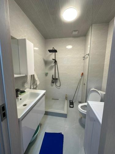 a bathroom with a shower and a sink and a toilet at Ander Tower in Stantsiya Batumi-Passazhirskaya