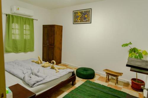 Amir house first line beach sea