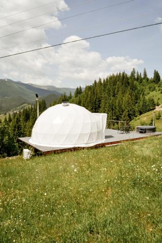 a large white tent on a field of grass at Motyl Glamping Resort in Dzembronya