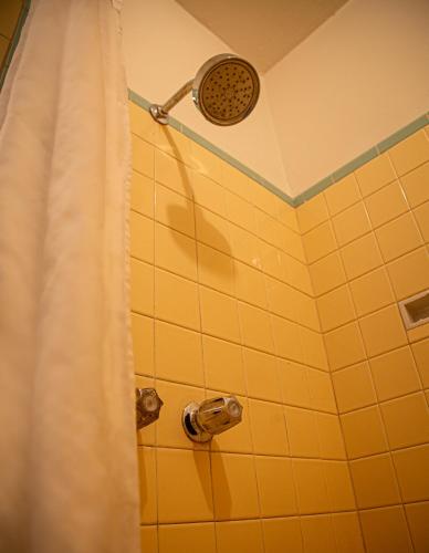 un bagno con doccia con tenda da doccia di Hotel Nelson a Tijuana