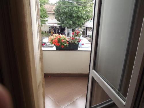 an open door with a window with flowers on a balcony at White Hotel Guesthouse in Zugdidi
