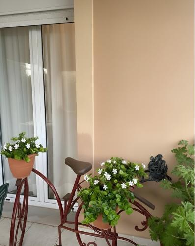 Olive Grove Family Home