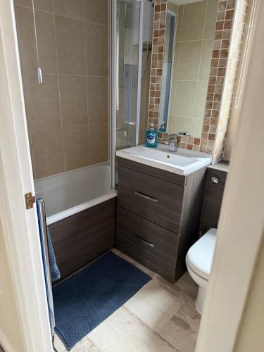 a bathroom with a toilet and a sink and a shower at 2 Bed Fully Furnished House In Milford Haven in Milford Haven