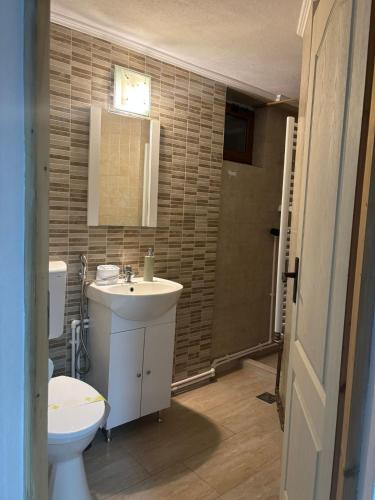 a bathroom with a sink and a toilet at Casa Rariana in Călimăneşti