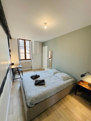 Charmant appartement centre Dijon