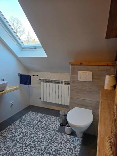 a bathroom with a toilet and a sink and a skylight at Jaśkowa Chata Bieszczady apartament z basenem nr 1i2 in Baligród
