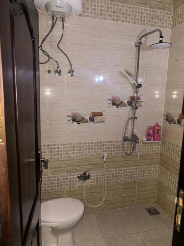 a bathroom with a shower and a toilet in it at Safaga SeaView Rooftop in Safaga