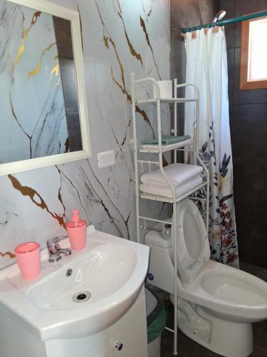 a bathroom with a sink and a toilet and a mirror at Mini departamento 3 in Coñaripe