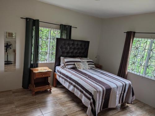 a bedroom with a bed and two windows at A Caribbean Oasis in Stirling