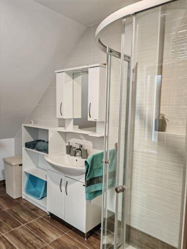 a bathroom with a sink and a shower at Apartma pod Tremi Kralji in Oplotnica