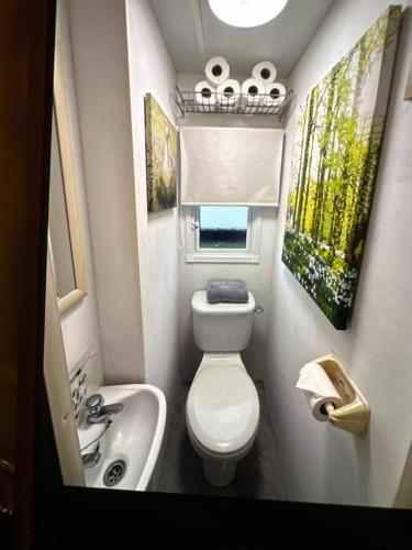 a small bathroom with a toilet and a sink at Sandylands caravan park in Stevenston