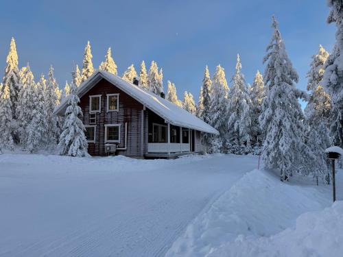 a log cabin in the snow with trees at Villa Peippo in Rovaniemi