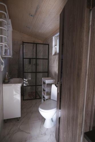 a bathroom with a toilet and a sink at Familyhata in Dzembronya
