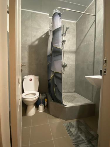 a bathroom with a shower and a toilet and a sink at МотельХаусSous in Svitlovodsʼk