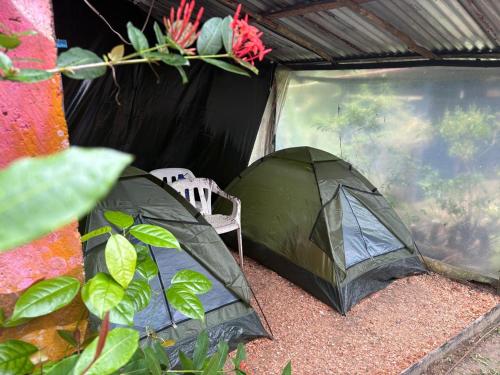 a green tent and chairs in a greenhouse at Posada El Silbo Apacible Cabaña, Glamping y Camping in Playa Ladrilleros