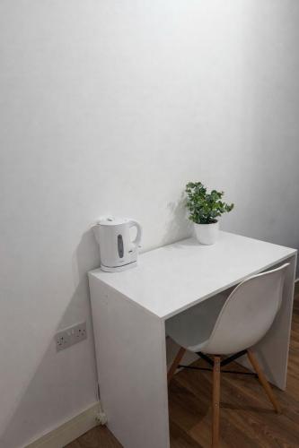 a white desk with a potted plant on top of it at Mary House London in Edmonton