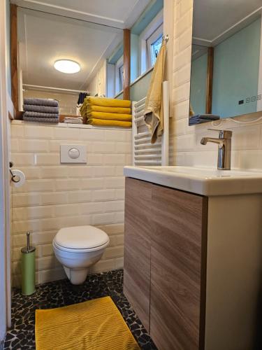 a bathroom with a toilet and a sink at Lovely holiday house in Durgerdam in Amsterdam