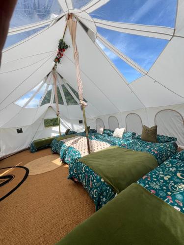 a marquee with three beds in a tent at GreenFeilds Glamping Stargazing Yurts and Outdoor Spa in Milwich