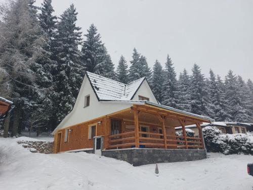 a log cabin in the snow with trees at Chata Jeřabina in Klíny