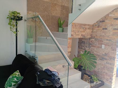 a glass staircase in a house with potted plants at Casa Monstera Bahia in Naranjo