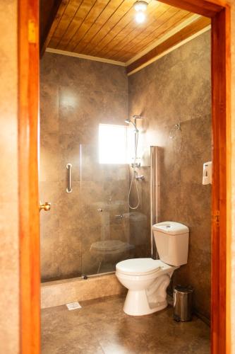 a bathroom with a shower and a toilet in it at Hostel Qiru Atacama in Sólor