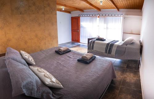 a bedroom with two beds and a window at Hostel Qiru Atacama in Sólor