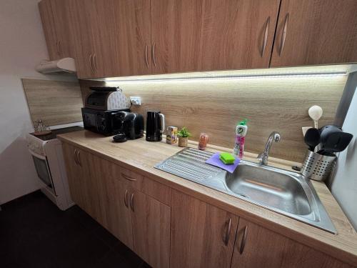 a kitchen counter with a sink and a microwave at Apartment PMS in Veľká Mača