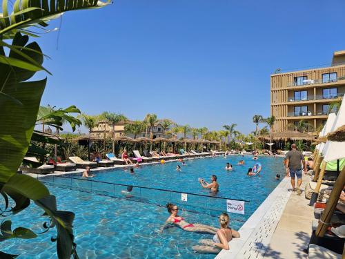 Palm Suites